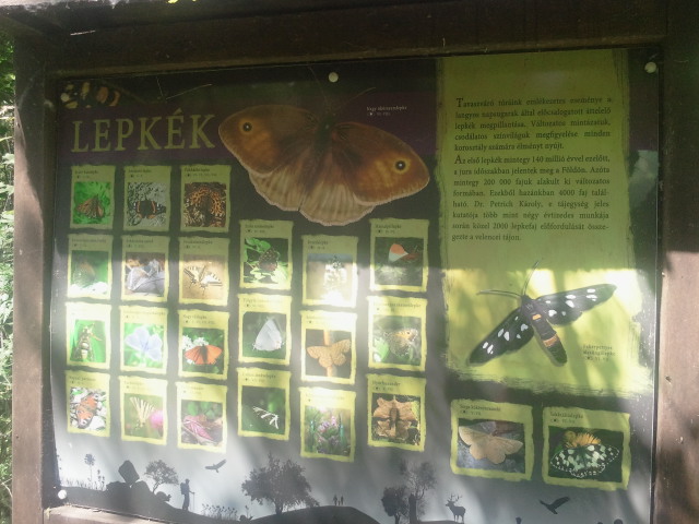 2017-05-20 10.51.15.jpg